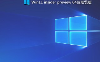 Windows11 insider preview 64位预览版 V2021(Build10.0.22000.51)