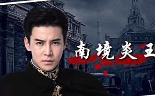短剧《南境炎王（80集全）》免费观看