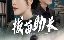 短剧《拔苗助长 (2024)》全集免费在线观看
