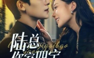短剧《陆总你家四宝要逆天（1-84集）》全集免费在线观看