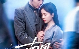 短剧《南风向黎（80集）张凝慈&王晨鹏 (2025)》全集免费在线观看