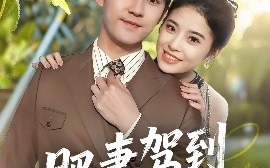 短剧《肥妻驾到接招吧老公（70集）梅子健＆侯梦心 (2025)》全集免费在线观看