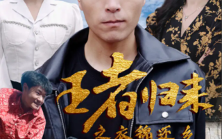 短剧《王者归来之衣锦还乡（87集全）》免费观看