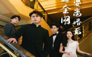 短剧《影后老婆离婚后，我火遍全网(81集全）》免费观看
