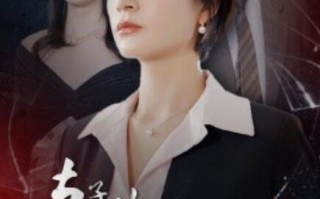 短剧《妻子的荣耀复仇联盟（23集全）》免费在线观看