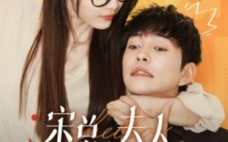 短剧《宋总，夫人又闹脾气了（60集全）》免费观看
