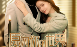 短剧《愿为你的世界举烽火 (2025)》全集免费在线观看