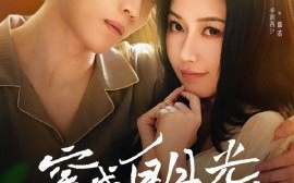 短剧《穿成白月光，她不干了（82集）许艺燊＆辛润茜 (2025)》全集免费在线观看