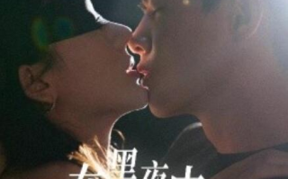短剧《在黑夜中相遇（32集全）》免费观看