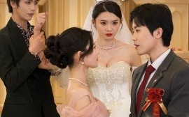 短剧《婚礼当天（30集）(2025)》全集免费在线观看