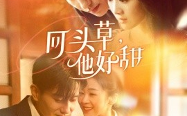 短剧《回头草，他好甜（80集）黄波＆徐思祁 (2025)》全集免费在线观看