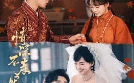 短剧《情深不寿烬相思（60集）蔡欣洋&莉莉崽 (2025)》全集免费在线观看