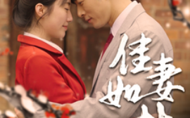 短剧《佳妻如梦（62集）(2025)》全集免费在线观看