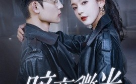 短剧《暗夜微光（86集）张力壬&徐波滴 (2025)》全集免费在线观看