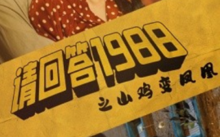 短剧《请回答1988之野鸡变凤凰（81集全）》免费观看