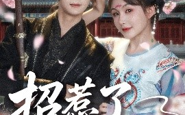 短剧《招惹了隐藏太子（81集）苏泽林&黄暖暖 (2025)》全集免费在线观看