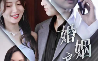 短剧《婚姻启示录（29集全）》免费观看