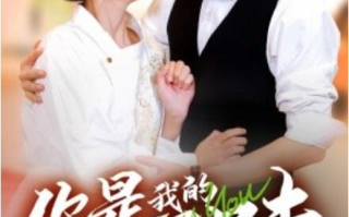 短剧《你是我的人间至味（1-65集）》全集免费在线观看