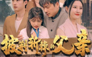 短剧《披荆斩棘的父亲（81集全）尹竹》免费观看