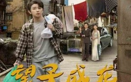 短剧《望子，成龙 (2024)》全集免费在线观看