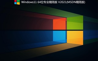 Windows11 64位专业精简版 V2021(MSDN精简版,纯净)