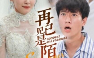 短剧《再见已是陌客（归来的星光）55集全》免费在线观看
