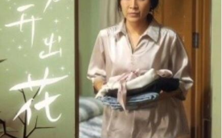 短剧《离别开出花（33集全）》免费在线观看