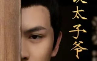 短剧《无敌太子爷（98集全）》免费观看