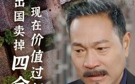 短剧《为了出国卖掉四合院，现在价值过亿你哭什么 (2024)》全集免费在线观看