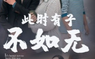 短剧《此时有子不如无（96集全）丁磊》免费观看