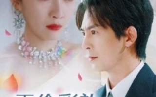 短剧《天价彩礼之这婚我不结了（1-32集）》全集免费在线观看