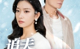 短剧《追夫火葬场 (2024)》全集免费在线观看