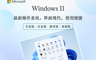 Win11专业版下载_Win11 24H2专业版iso镜像下载V2025【优化版】