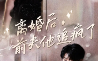 短剧《离婚后，前夫他追疯了&今夜星光璀璨（90集全）》免费观看