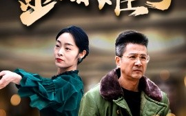 短剧《金婚难分 (2025)》全集免费在线观看