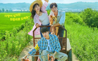 韩剧《偶然的田园日记（12集全）》高清HD1080p完整版在线免费观看