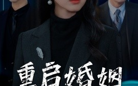 短剧《重启婚姻逆光玫瑰（40集）(2025)》全集免费在线观看