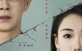 短剧《均摊心跳（30集）董劭辉&郑奕 (2025)》全集免费在线观看