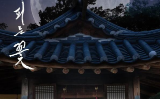 韩剧《夜晚开的花（12集全）》高清HD1080p完整版在线免费观看