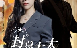 短剧《封总，太太想跟你离婚很久了 (2024)》全集免费在线观看