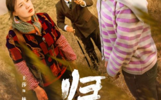 短剧《归巢（80集全）》免费观看