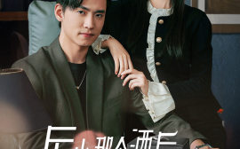 短剧《厉少那个酒后狂徒是您夫人 (2025)》全集免费在线观看