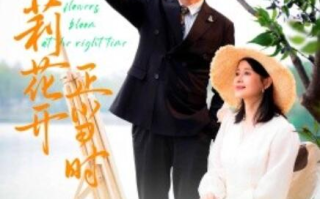 短剧《茉莉花开正当时（1-80集）》全集免费在线观看