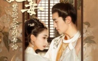 短剧《医妃有毒禁欲太子别害怕（废太子他风韵犹存）天意未迟（99集全）》免费观看