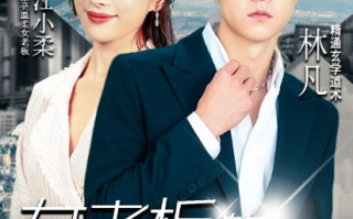 短剧《女老板的贴身高手(93集全)》免费观看