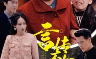 短剧《言传不如身教（30集全）》免费在线观看