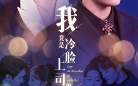 短剧《我竟是冷脸上司的白月光 (2025)》全集免费在线观看