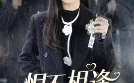 短剧《恨不相逢未嫁时 (2024)》全集免费在线观看