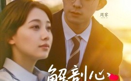 短剧《解剖心动手册（90集）乔佳乐＆田园 (2025)》全集免费在线观看