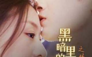短剧《黑暗里的一束光之妈妈的爱（89集全）》免费观看
